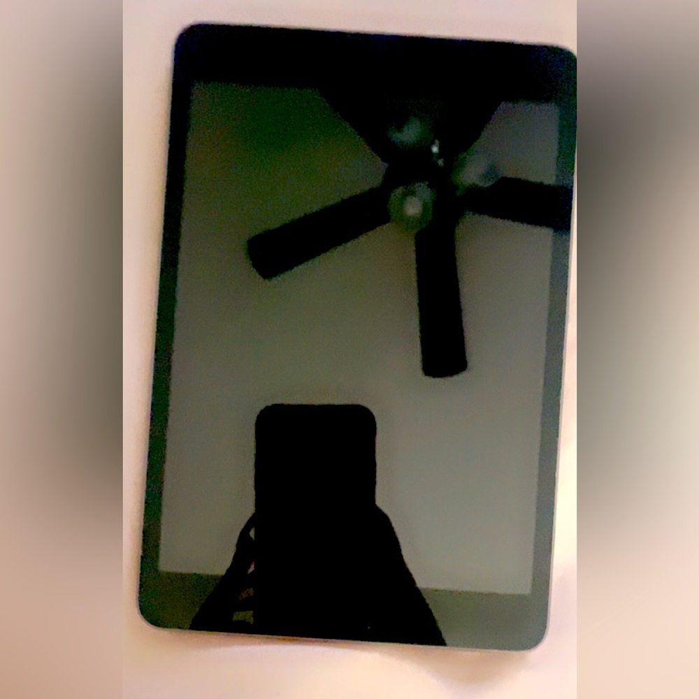 Apple mini iPad 16gb
